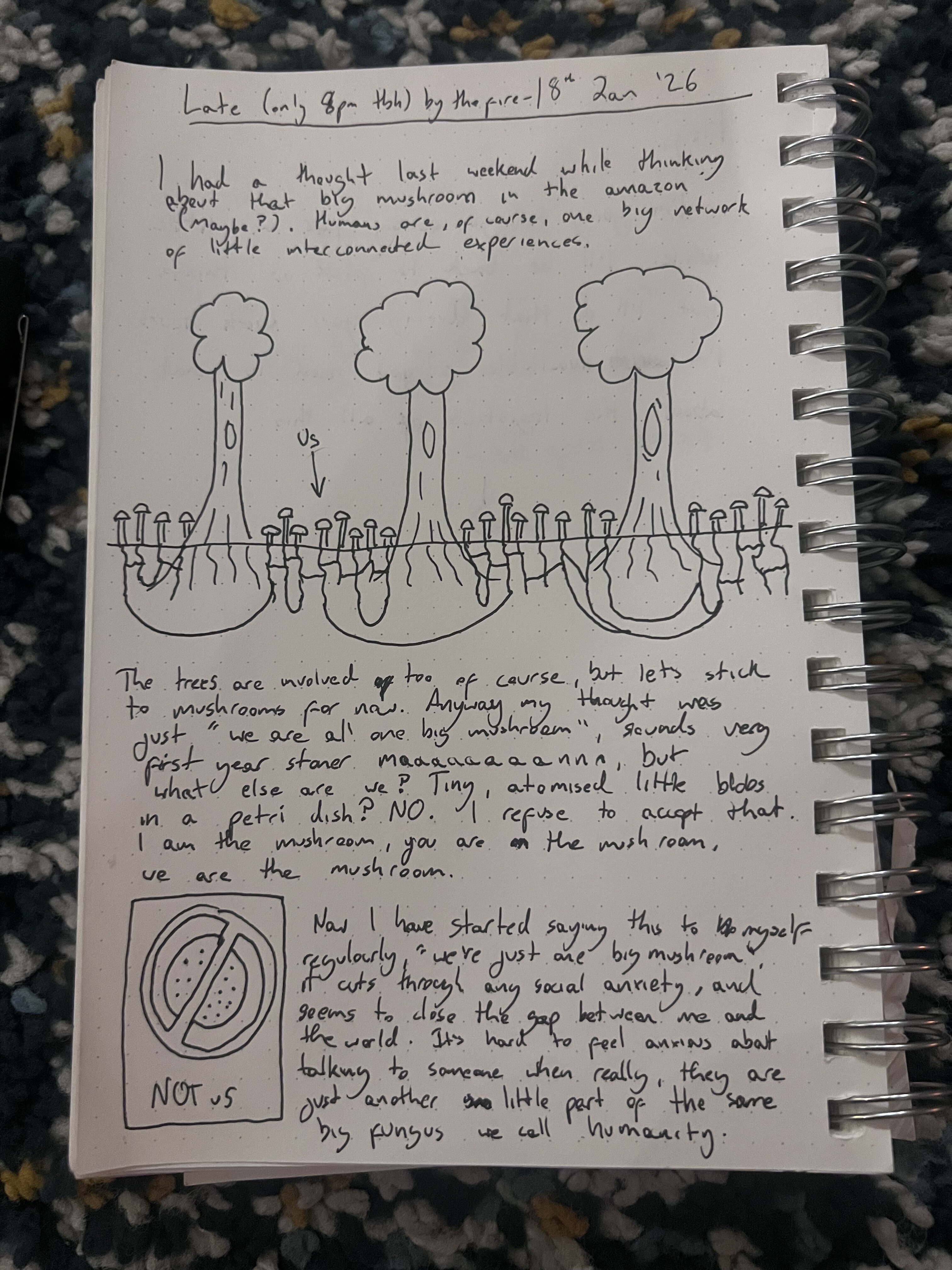 Mushroom network diagram