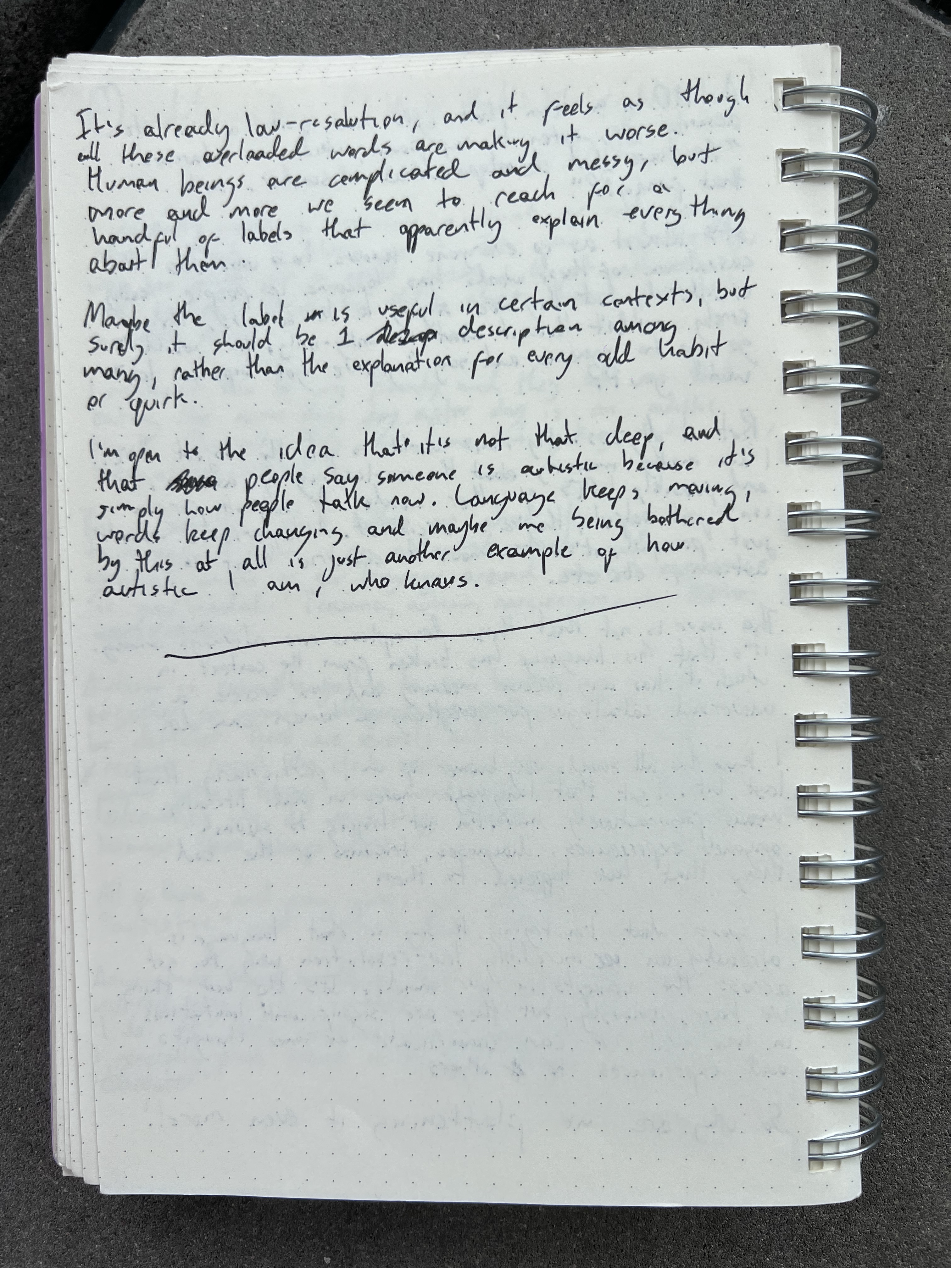 A handwritten diary page concluding a reflection on labels and changing language