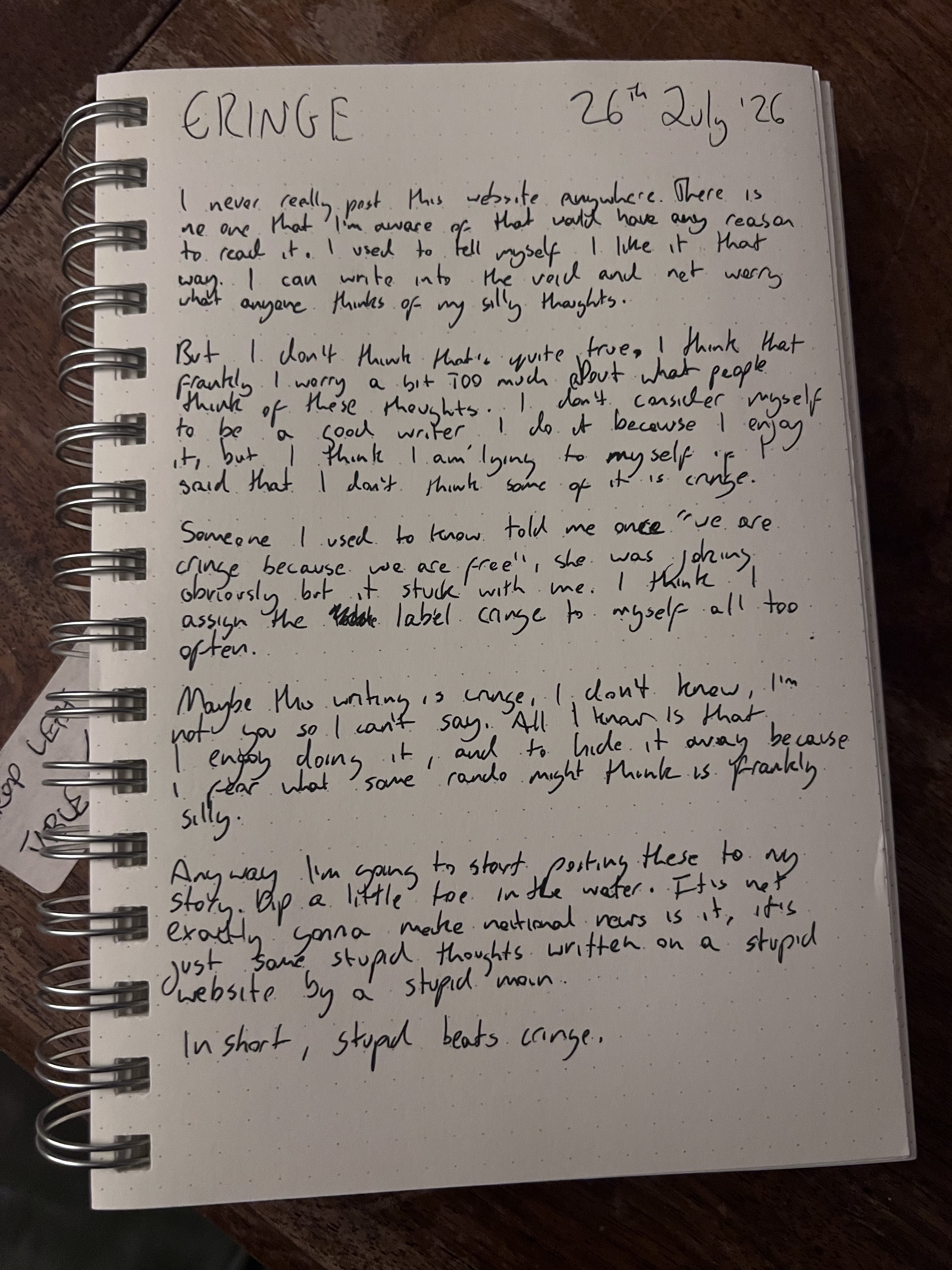 A handwritten diary page titled Cringe, about posting silly thoughts online